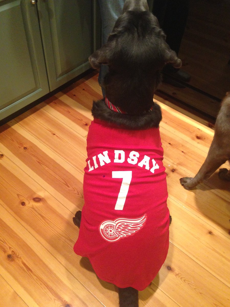 AmeliaHammy's tweet photo. Virgil is supporting our @DetroitRedWings! #drwchat #ARIvsDET #lgrw #hockey #nhl @TedLindsay07 https://t.co/LHmLWVKBAh