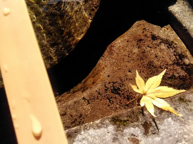 midorin20152's tweet photo. 11月、霜月ですね。
響きがすでに寒さを誘ってます。(^^;)
日本の秋の風景、綺麗な空気や水を象徴するかのような景色が広がります。
このままずっと空気や水が綺麗なままであってほしいものですね。
平和を願っています。🍀

いつもいいね・RTボタン等、ありがとうございます。😊 https://t.co/oA8pKUKkCy