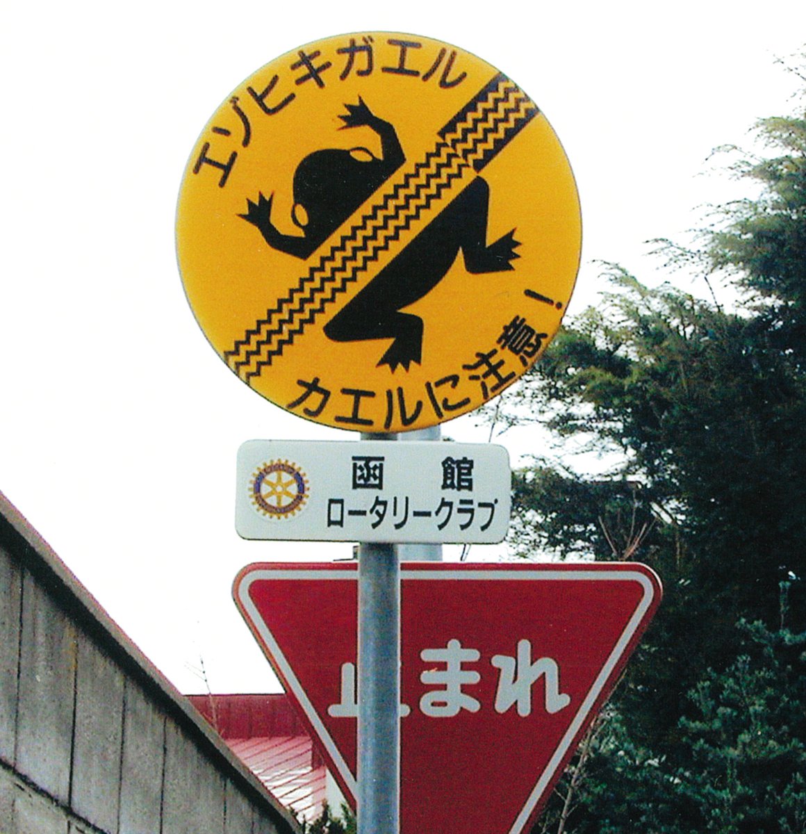 くるくら 車と暮らしのニュースサイト En Twitter 本日のユニーク標識 ヒキガエル クルマが気を付け いきかえる Byクーロン君 カエル注意看板やらおもしろ標識など収蔵 ここからポチリ T Co Iiyfdm2mqd ユニーク標識