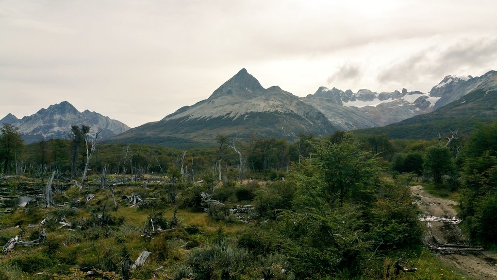 travelmediamgz's tweet image. Paisajes inolvidables... #ViajarPorArgentina #YoAmoViajar @TurismoTDF