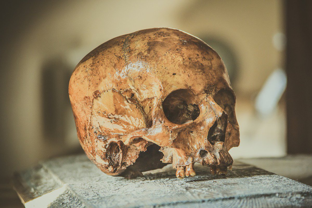 mypgnow's tweet photo. .@UNBC's Dr. Richard Lazenby will hold a talk Wednesday night on his career &amp; forensic anthropology | https://t.co/dsyS9Kmm5E #CityOfPG https://t.co/LpjP0BVhDQ