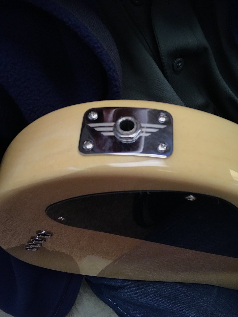 speedothebrief's tweet photo. It’s the attention to detail at @ReverendGuitars that gets my willickers gillickin. #doesitfly https://t.co/kH3vCdo5op