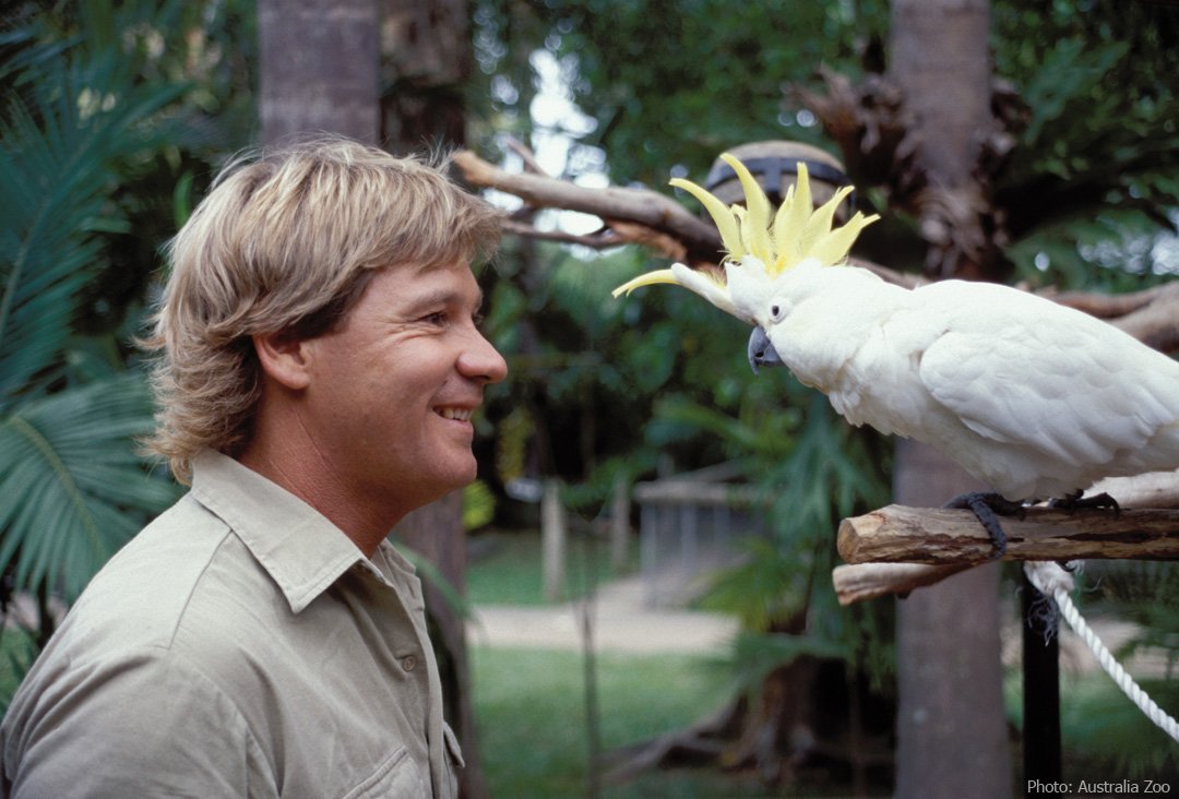 Join us in celebrating #SteveIrwinDay 15 Nov &amp; don your best khaki outfit for the one &amp; only Crocodile Hunter 🐊 Woo-hoo! #VisitSunshineCoast