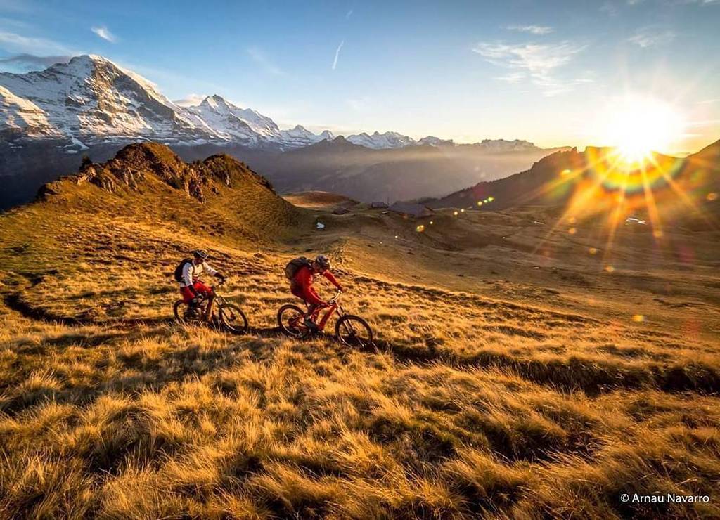 mtbswitzerland's tweet image. Grandios! Via @flowvalley: &quot;#UphillFlow in the morning sun. Nice autumn colours in the Jungfrau Region.
📸: @behapp… ift.tt/2z3pO7P