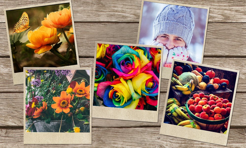 smackcoders's tweet image. Import of featured &amp;amp; @NextGenGallery images into your #WordPress website is made easy with #UltimateCSVImporter goo.gl/gjE3nY