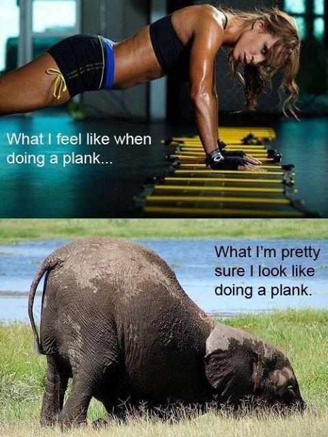 ScaredFitless's tweet photo. #Plank #Abs #ScaredFitless #Fitness #Exercise #Fitfam #Fitspo https://t.co/8jrCUmFJvX