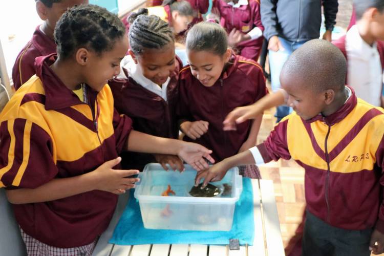 2OceansAquarium's tweet photo. We are on the road, taking the ocean to thousands of children each year. #CapeTown #OceansInMotion https://t.co/BsoN4hrx65 https://t.co/oak9tRz9RD