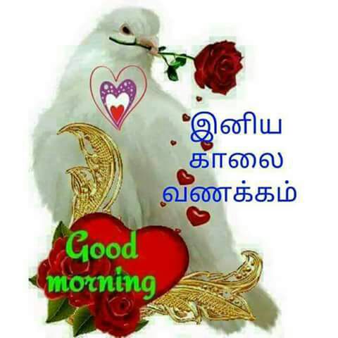 devi51552820's tweet photo. @Gomathi__Aunty https://t.co/vkNpjrf1IR