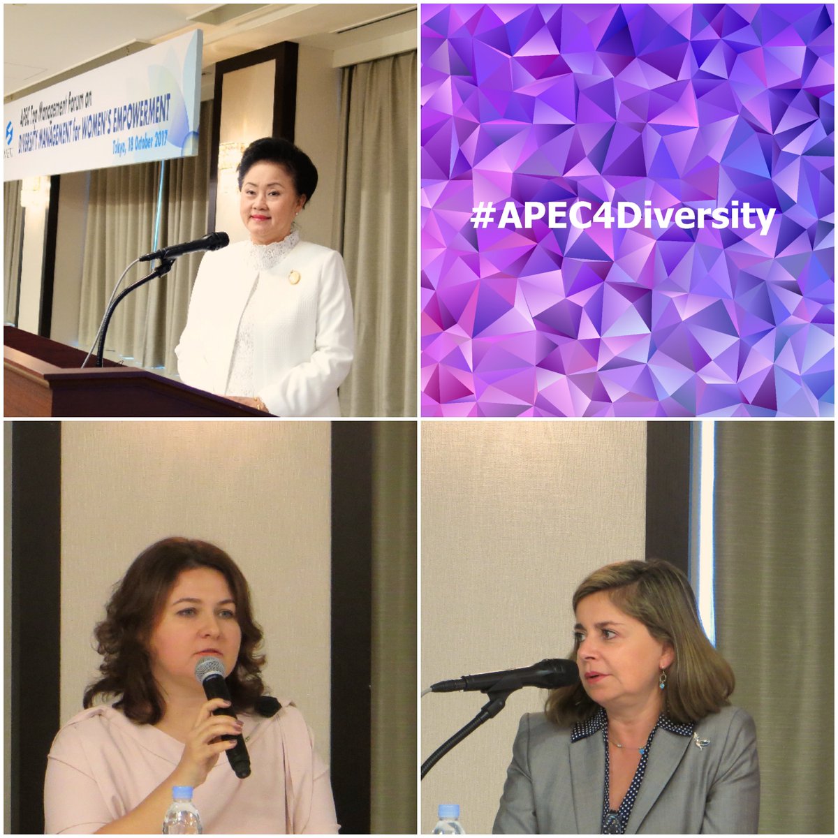 APEC_Diversity's tweet photo. Take-away 1: Position diversity management within a broader corporate strategy for sustainable management involving everyone #APEC4Diversity https://t.co/kpyHj2lM1f