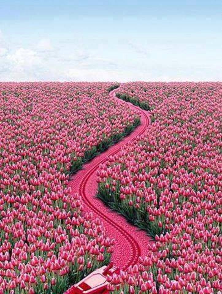 Kimberlynh24's tweet photo. @1g2Su1FbEDT6T9W @JbSu6u ✨🌟🌹🌹🌟✨🌹🌹🌟✨
🌟🌹🌺❤️🌸❤️🌸🌺🌹🌟
🌹🌺❤️🌸❤️🌸❤️🌸🌺🌹
🌹🌺🌸❤️🌸❤️🌸❤️🌺🌹
🌟🌹🌺🌸❤️🌸❤️🌺🌹✨
✨🌟🌹🌺🌸❤️🌺🌹✨🌟
🌟✨🌟🌹🌺🌺🌹🌟🌟✨
✨🌟✨🌟🌹🌹✨🌟✨🌟 
🌟 #TYSM 🌟 #TeamAIKAMU  #HappyNovember 😘😊 https://t.co/ATuAOWNKkG