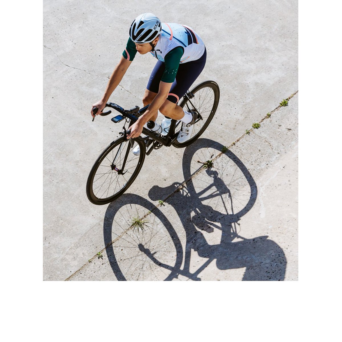 The Pedla tweet media