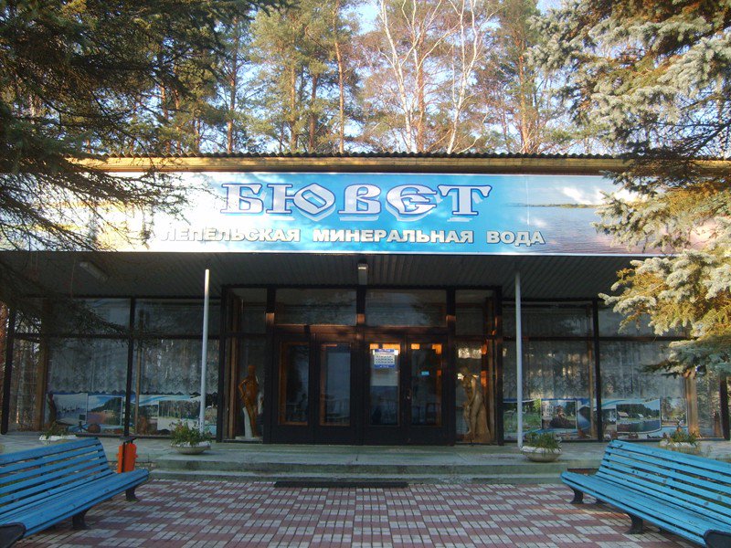 БЕЛАРУСЬ/Витебск/«Лепельский санаторий»41 000 рублей,за двоих.Заселение 21.12.,14 ночей,завтраки,обеды,ужины #S _ТУР