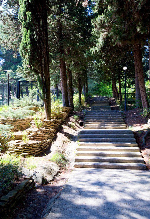 Сочи(Лазаревское)«ГРЕНАДА» 24 000 рублей,за двоих.Вылет 12.11., 6 ночей,завтраки,обеды,ужины #S _ТУР