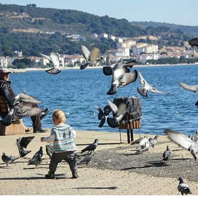 Ahmet  ÜRKÜP (@urkupahmet) on Twitter photo 