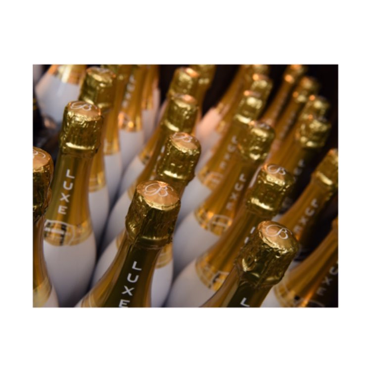 RickRoss's tweet photo. Solid Gold. @OfficialBelaire https://t.co/A3vZK5EeDi