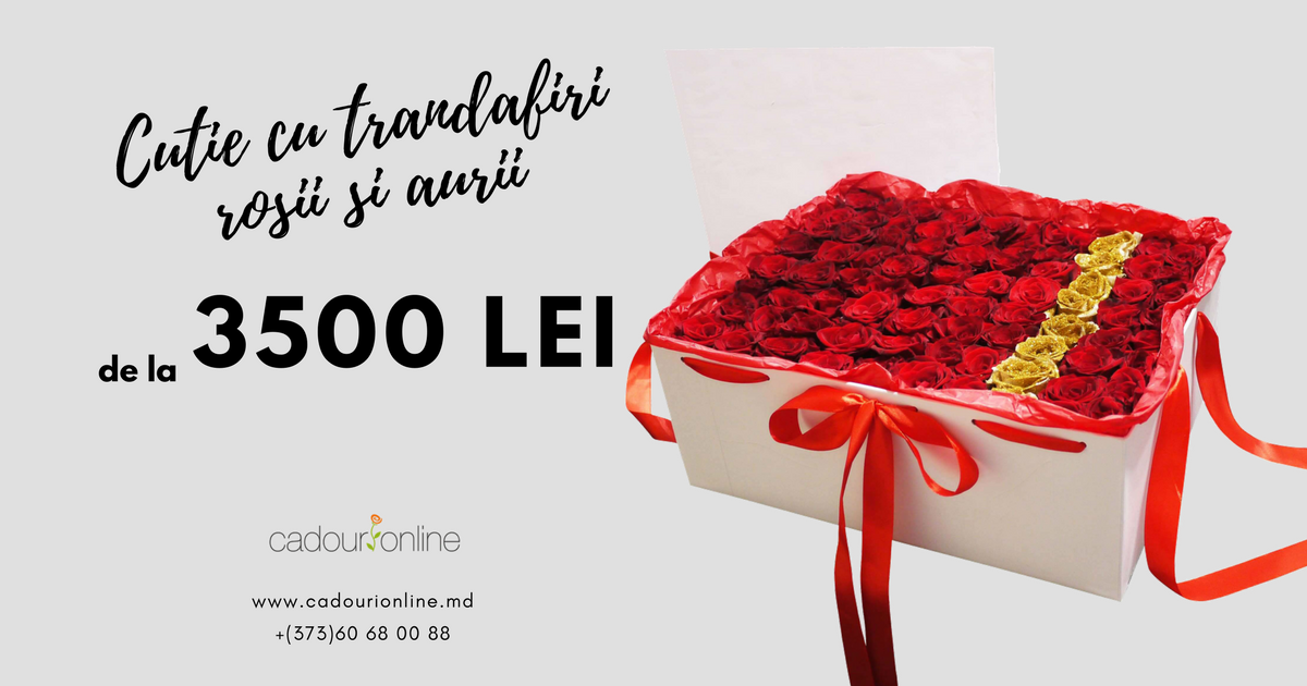 CadouriMd's tweet photo. 💚 Curieri politicoși și eleganți
💞 Livrăm în toată Moldova
💝 Lucrăm 24/24
🛒 Comandă acum:
➡ https://t.co/0s2GhcvQsR
➡ +(373)60 68 00 88 https://t.co/yvNPUyWTeW