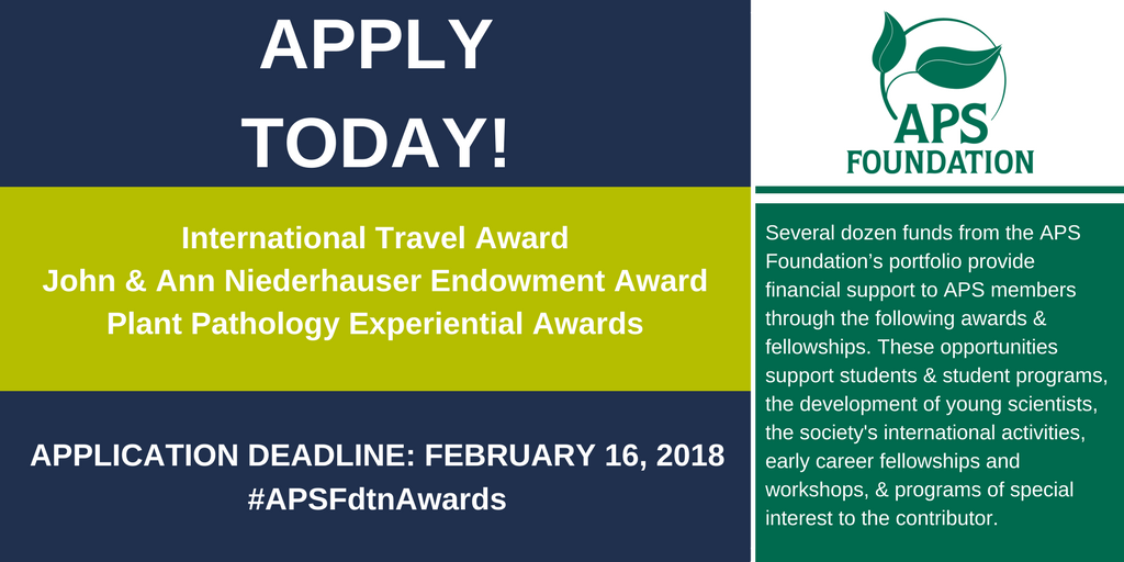 plantdisease's tweet photo. RU #PlantPath student, #PlantScientist, or early career #PlantHealth professional? Apply now for #APSFdtnAwards! https://t.co/nmKMNvGFVm https://t.co/aZb2OGhh7Z