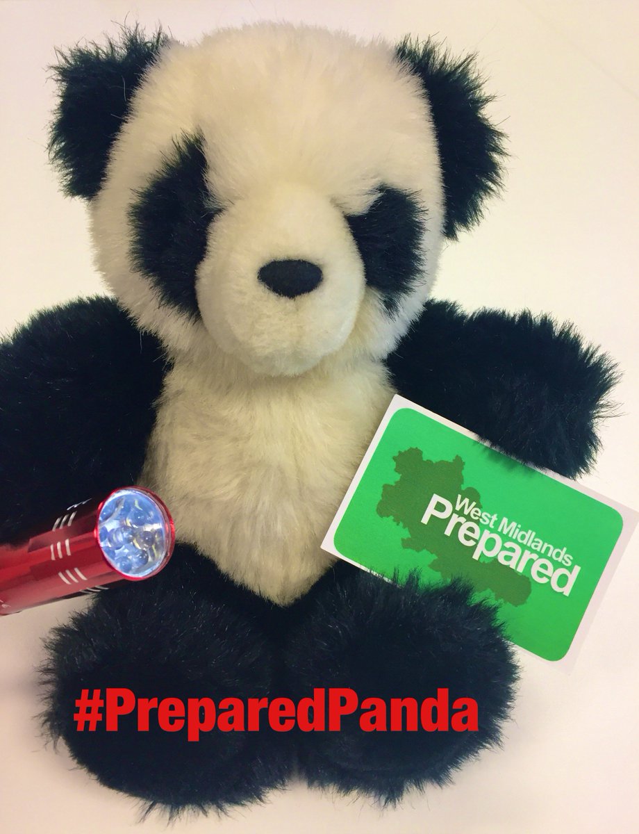 WMidsPrepared's tweet photo. #PreparedPanda keeps a set of everyday items ready for an #emergency - especially important is a wind up #torch just in case of a power cut! https://t.co/FgWmJ7v2Vp