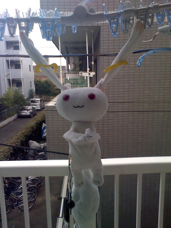 Numa キュゥべえ くたくたぬいぐるみ のお洗濯 まずは 漬け置き洗い いい湯だな って 水ですけど そして 天日干し どうして君たち人間は 僕を吊るして喜んでいるんだい わけがわからないよ T Co Pgtwarv36g Twitter