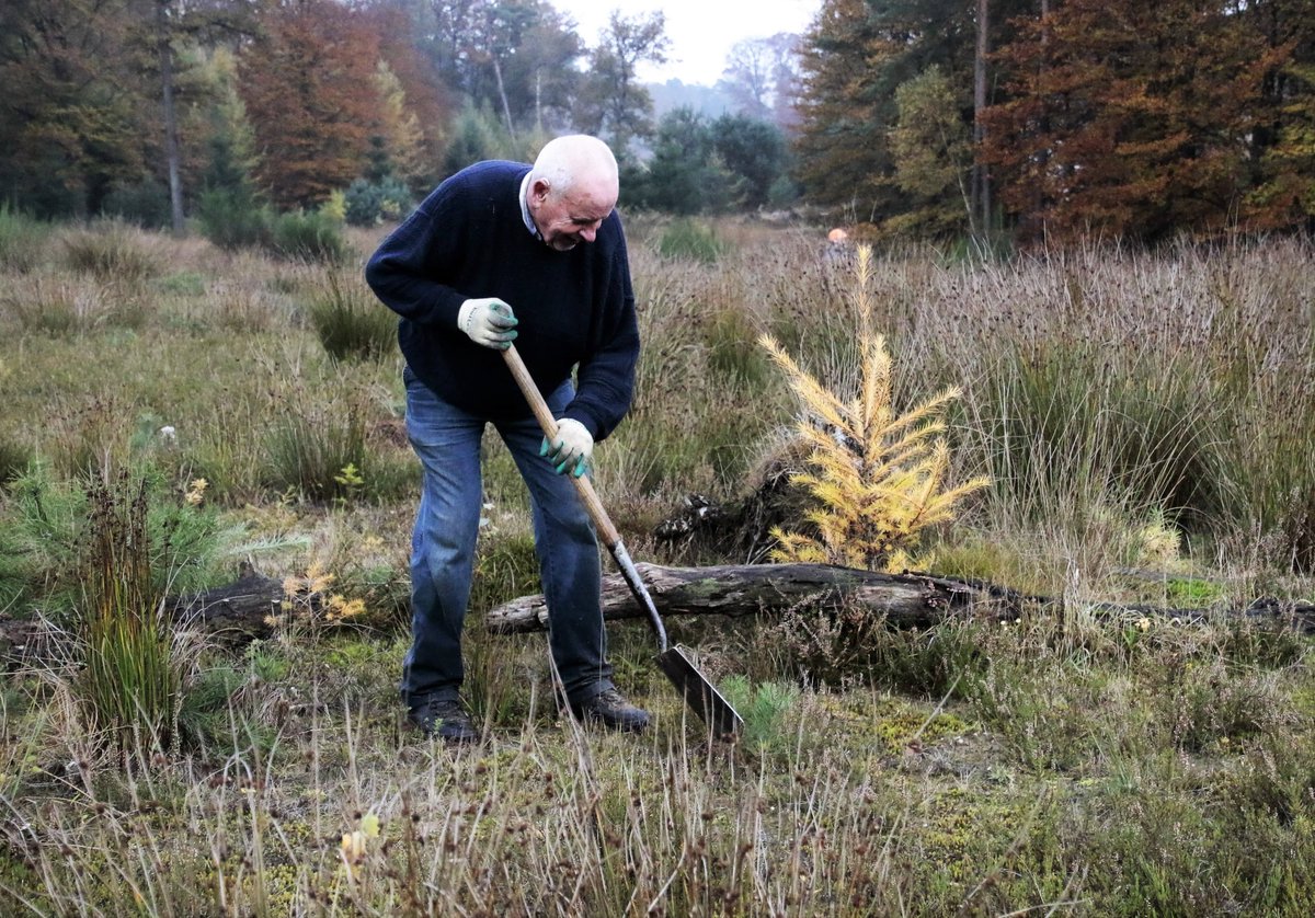 Zaterdag 4 november  Landelijke <a href="/NatuurwerkdagNL/">Natuurwerkdag</a> 
Vrijwillig aan het werk op de Sallandse Heuvelrug
bit.ly/2ykV8Q2
@Staatsbosbeheer
