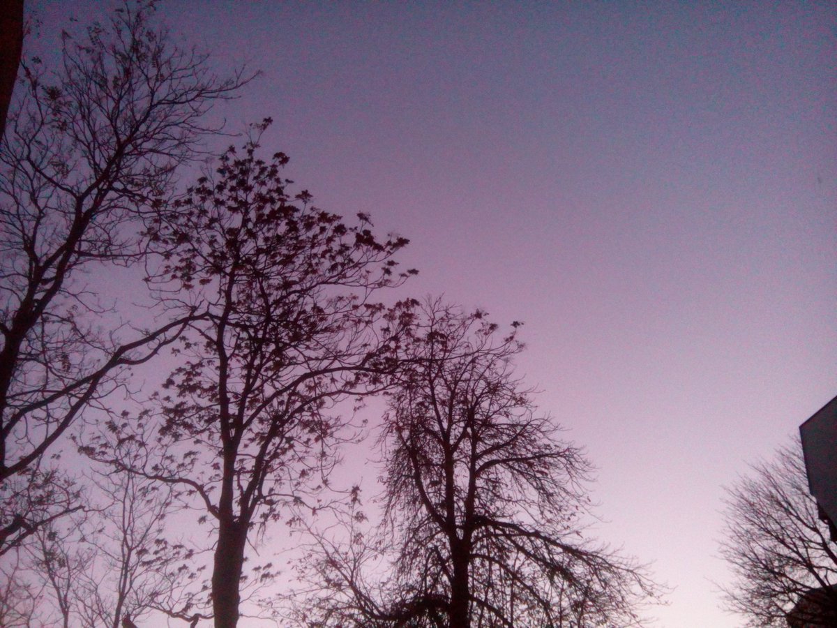 cesdenne (@cesdenne) on Twitter photo 