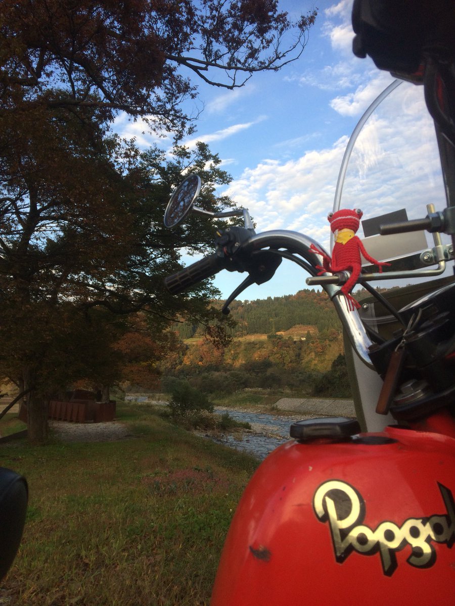 surappekerori's tweet photo. 晴れてたので強引に会社を切り上げ久しぶりの原チャリ管内パトロール🛵無事かえる君との初ツーリングはポップギャルで😁十日町地方の紅葉、綺麗になってきましたよ🍁この秋は清津峡でもお出かけして見てはいかがでしょうかー😊 #無事かえる君 #十日町 #清津峡 #R353 https://t.co/8hh4L2lL61