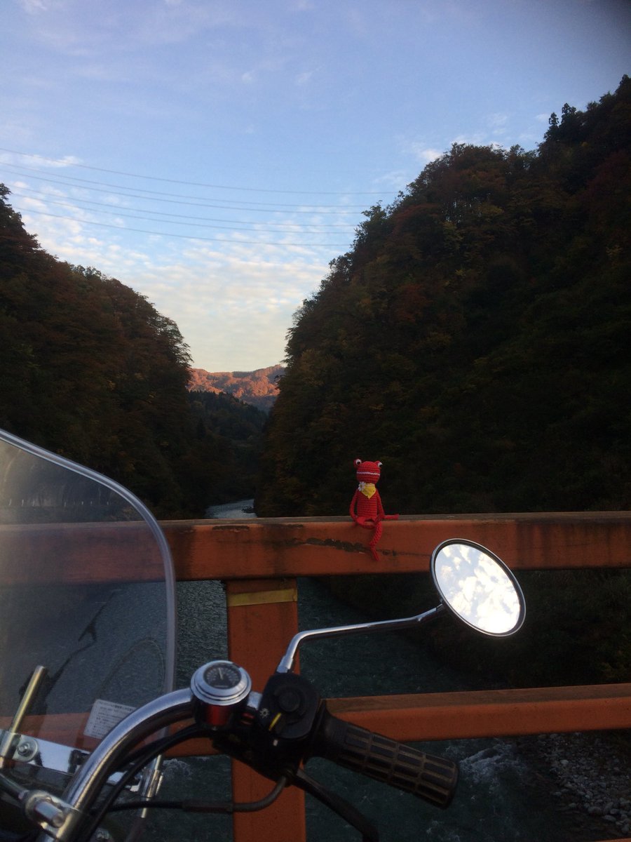 surappekerori's tweet photo. 晴れてたので強引に会社を切り上げ久しぶりの原チャリ管内パトロール🛵無事かえる君との初ツーリングはポップギャルで😁十日町地方の紅葉、綺麗になってきましたよ🍁この秋は清津峡でもお出かけして見てはいかがでしょうかー😊 #無事かえる君 #十日町 #清津峡 #R353 https://t.co/8hh4L2lL61