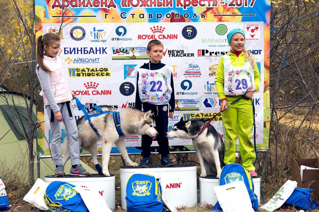 ldpr26 tweet picture