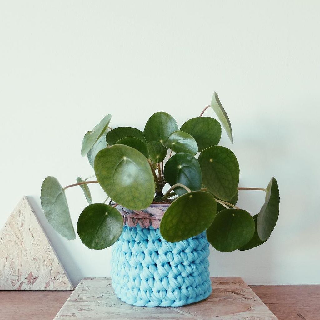 There’s still spaces left for my workshop at <a href="/forfikasake/">forFIKAsake Glasgow</a> on the 12th of November from 11-2. Learn how to crochet … ift.tt/2z7X1id