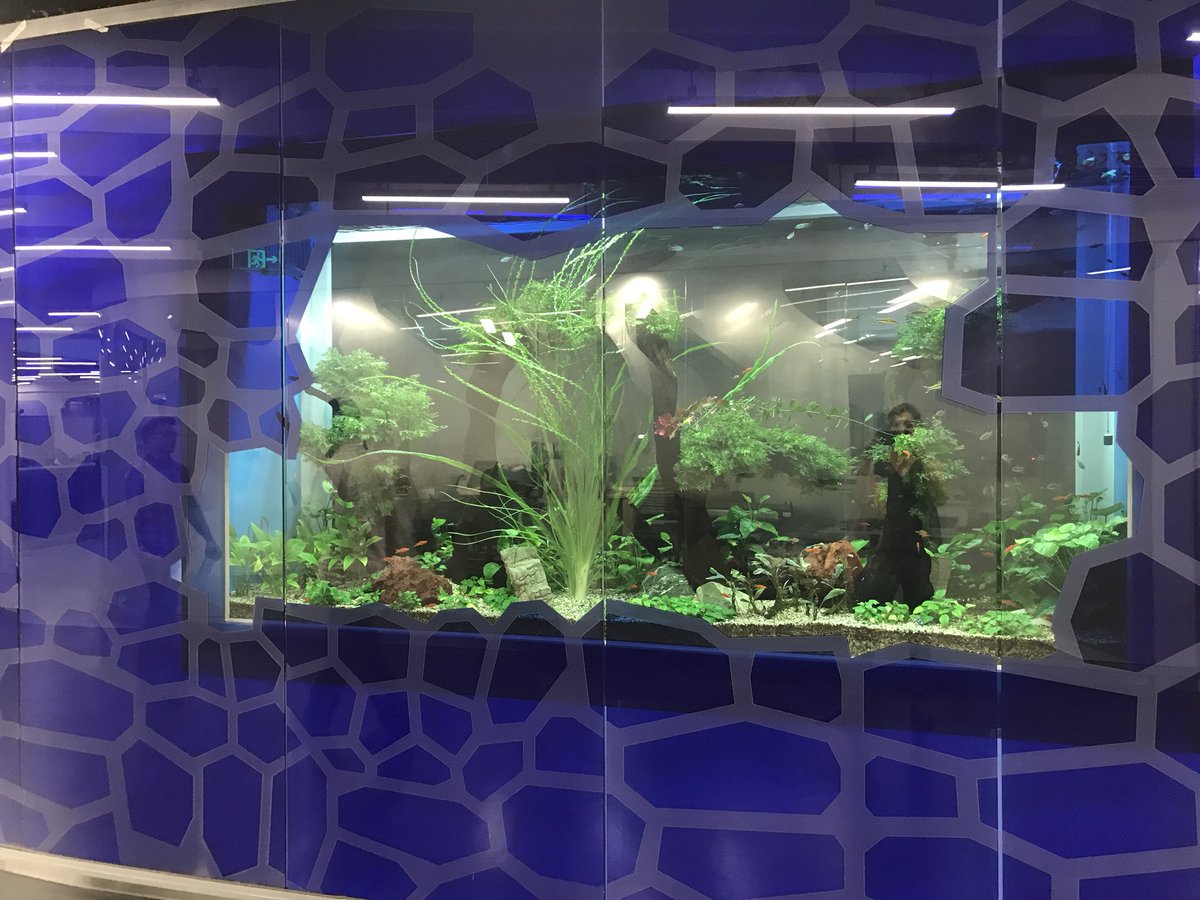 feetetweet's tweet photo. Checking out the amazing #innovation #Learningspace at #saschina #learning2 #muchjealous #swe17 #isedcoach https://t.co/e1fx7Ksnae