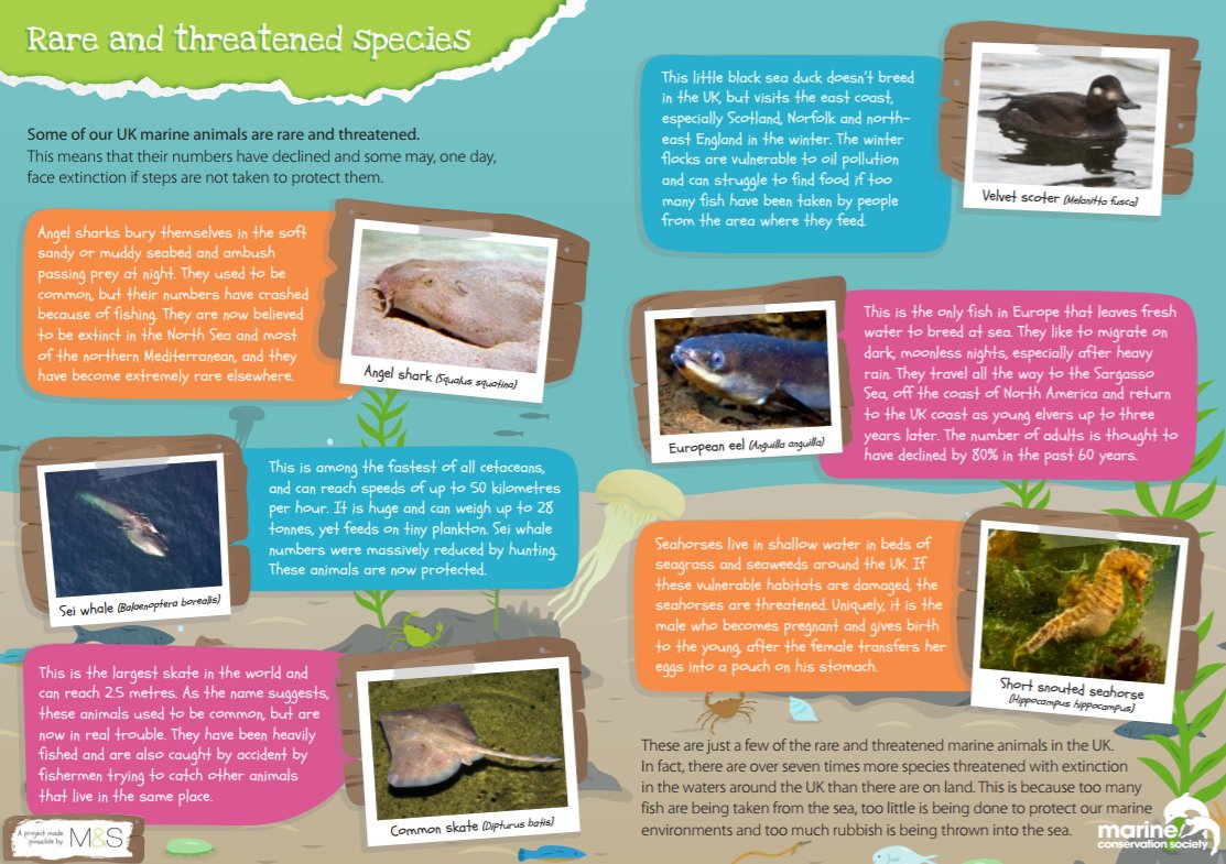 Teacher inspired by #BluePlanet2?🐋
Resources w/ all you need to engage your students to care for our oceans this way>mcsuk.org/coolseas/cools…