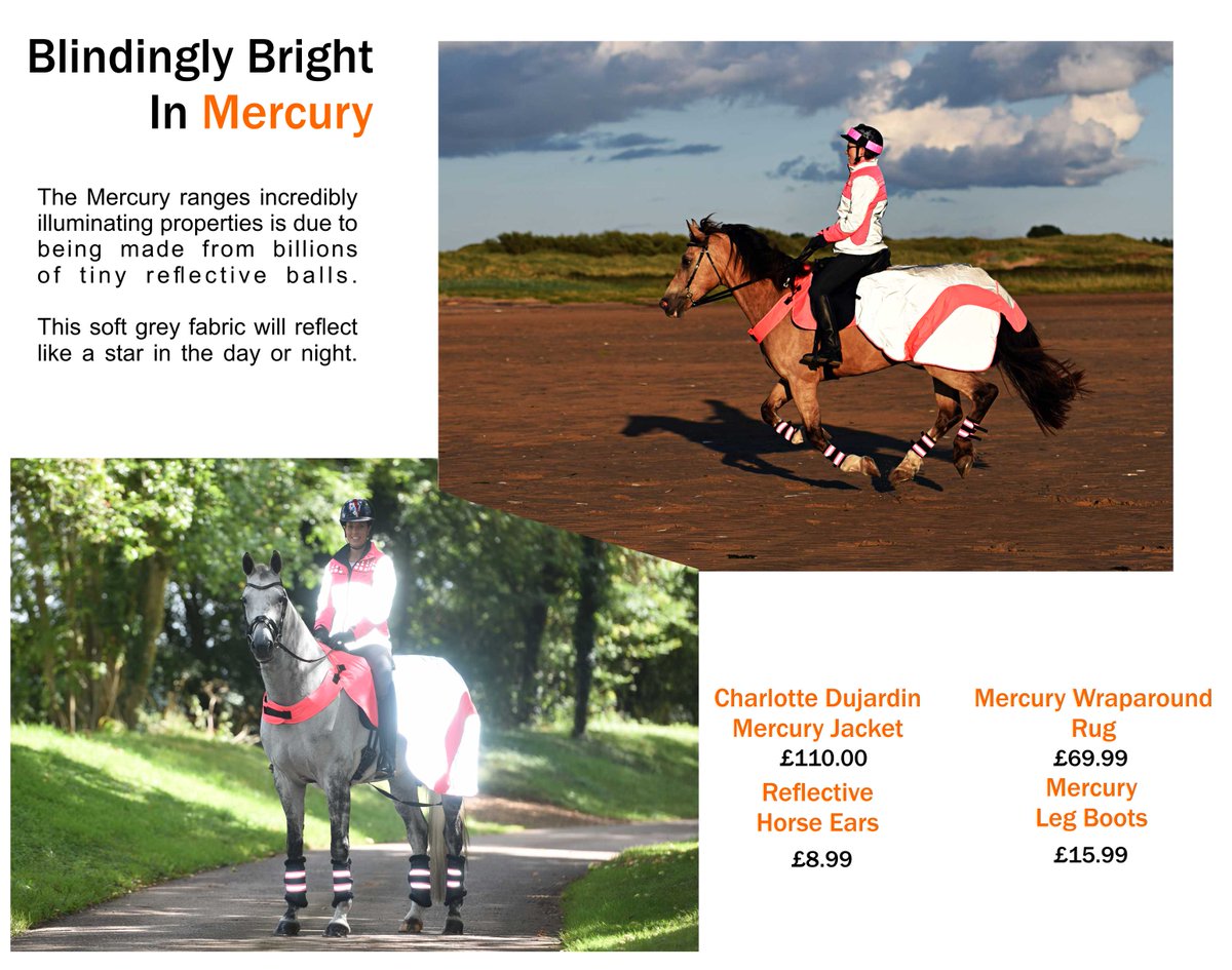 Equisafety tweet media