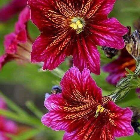 helenmikos's tweet photo. #BuenMiercoles para todos !!
Comenzamos Noviembre con muchas ilusiones de estar mucho mejor.
Buen Mes a mis todos.
#Paz #Templanza #FeDios https://t.co/8wG2kphFdr