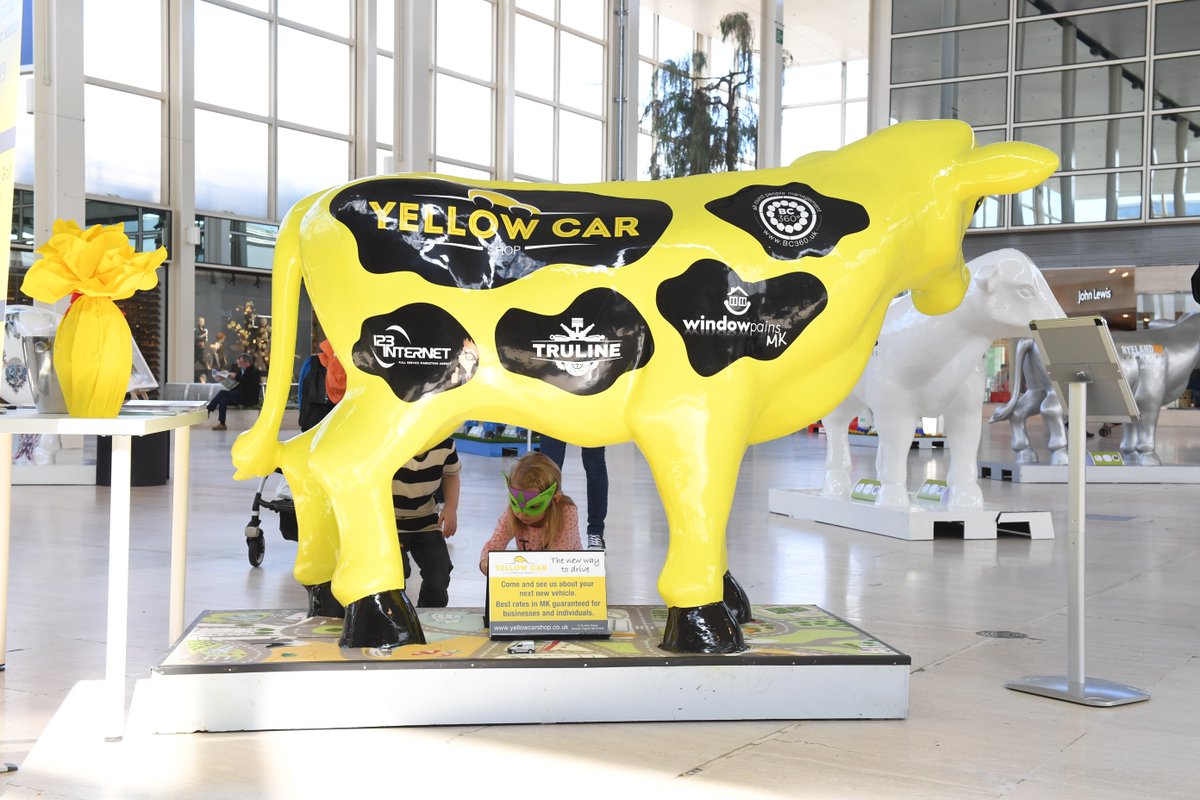 Say hello to our vibrant cow from the <a href="/Yellow_Car_Shop/">Yellow Car Shop</a>! Specialists in car and van leasing in Milton Keynes #CarLeasing #MeetTheMoo