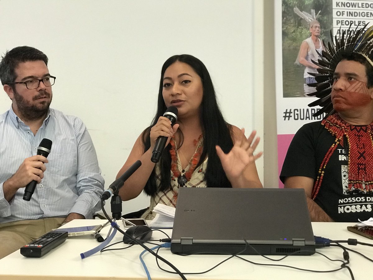 Rueda de prensa en Berlín, <a href="/coicaorg/">COICA ORG</a> la plantea que titulación de los territorios amazónicos es la forma más segura de proteger los bosques