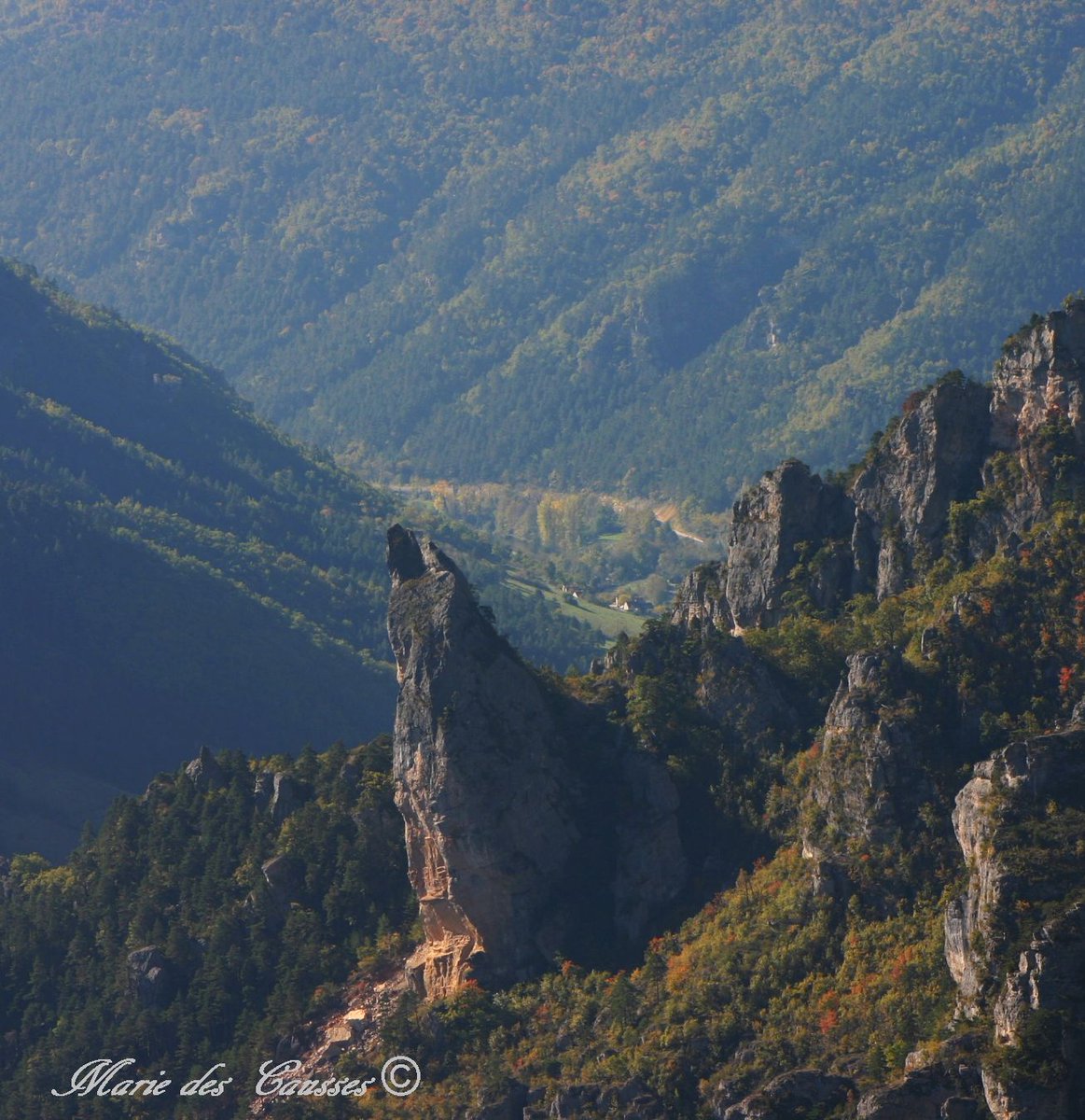 MarieDesCausses's tweet photo. Roc  Aiguille dominant les #gorgesdutarn en #lozere vu du #pointsublime https://t.co/Y0xygDSLPp
