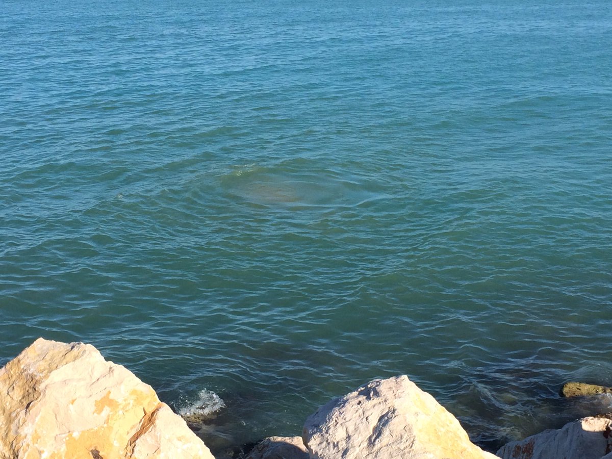 gpp_rizzo's tweet photo. A #Termoli liquami in mare dal #depuratore. Protestano i cittadini: ancora nessuna verifica @TgrMolise @TgrRai https://t.co/HhpBMNdhkL