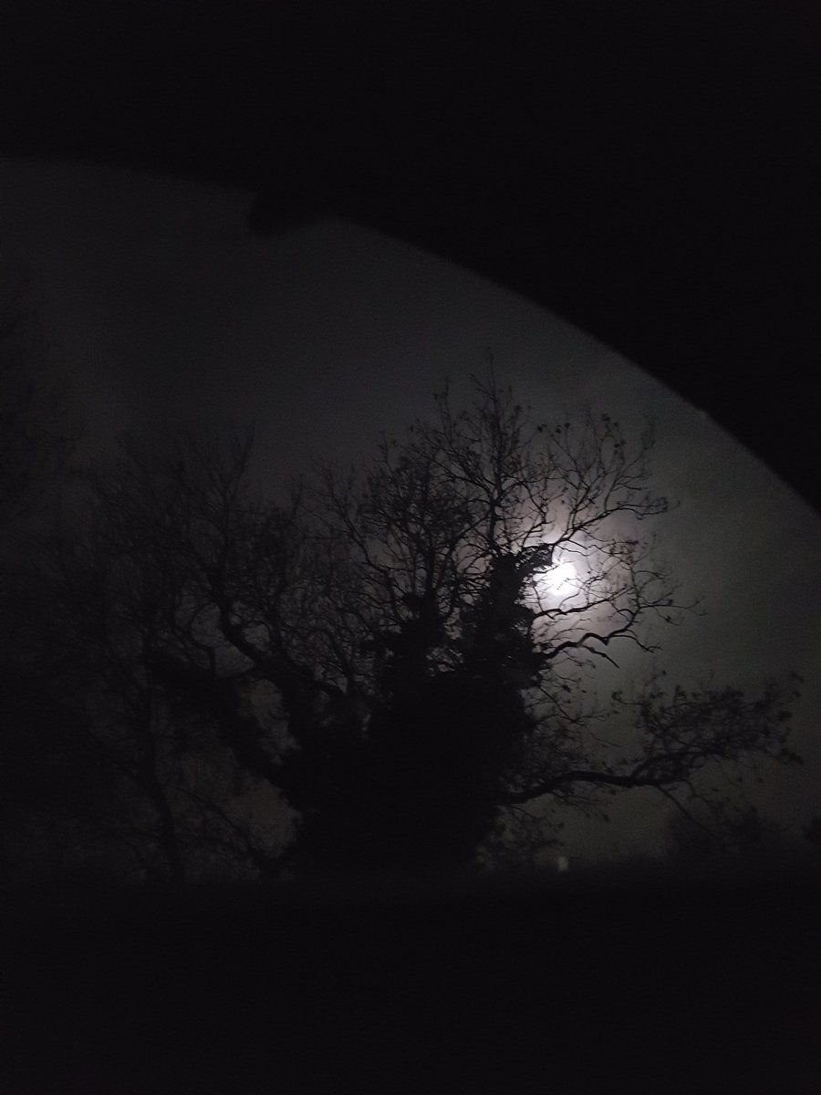 Girach2000's tweet photo. @RobbieCumming Eerie https://t.co/tARM1C1gxd