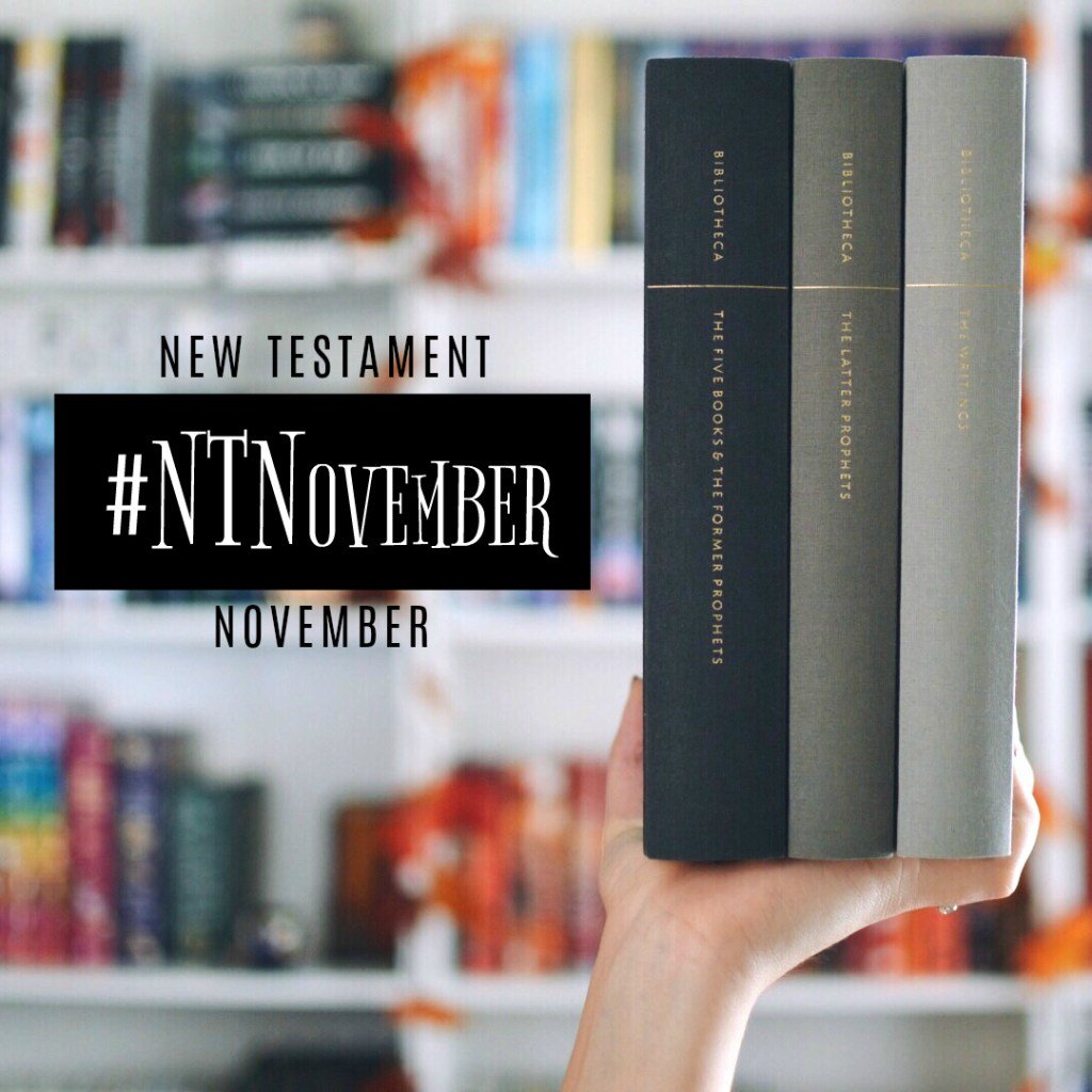 NadineBrandes's tweet photo. Out with the Old, in with the New! 😉What are you reading for #NTNovember? #amreading… https://t.co/pQtMuLgO84 https://t.co/CNuKg9mWTS
