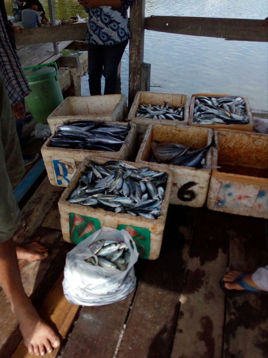 APPBI_SULTENG tweet media