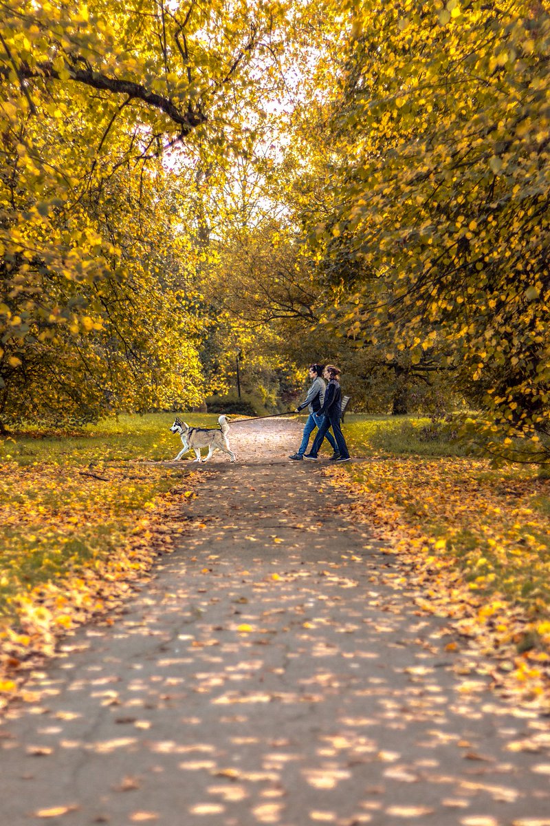 visitlondon's tweet photo. Hyde Park is looking oh so autumnal in this #Londonin4! 🍂 

 [Photo: @najayktalks] https://t.co/2tvpHiH3af