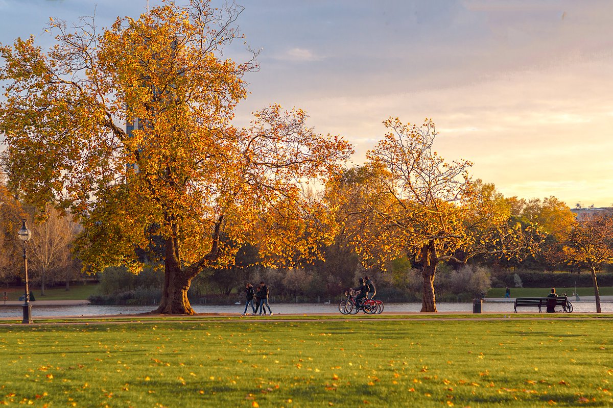 visitlondon's tweet photo. Hyde Park is looking oh so autumnal in this #Londonin4! 🍂 

 [Photo: @najayktalks] https://t.co/2tvpHiH3af