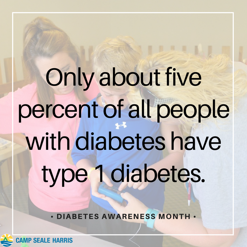 campsealeharris's tweet photo. #DidYouKnow only about 5% of all people with #diabetes have #T1D? #DiabetesAwarenessMonth #CampSealeHarris #CSH2017 https://t.co/MLHaDb7s4u