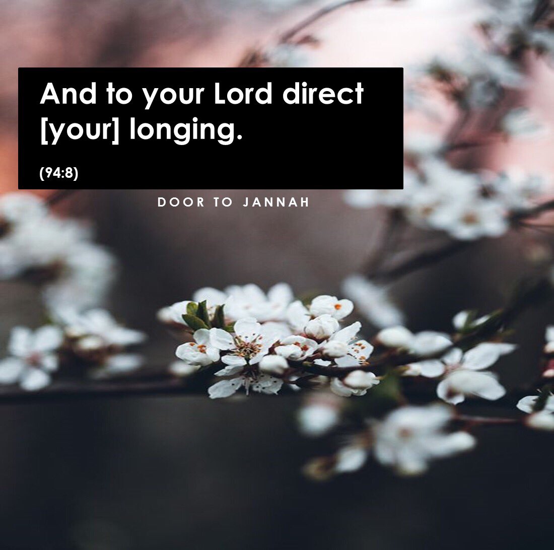 doortojannah's tweet photo. "And to your Lord direct (your) longing." https://t.co/hVQ1PD6nyi