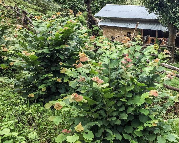 Zurich-Based Fund Generates Impressive Returns from Sustainable Development triplepundit.com/2017/10/zurich…