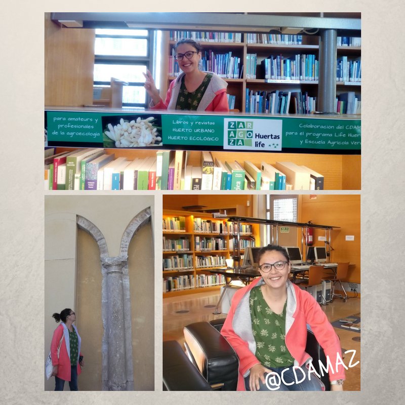 Porque las bibliotecas son libros y personas...

Comienza #GentesBiblioVerdes con una sonrisa de 'esperanza'

cdamaz.wordpress.com/2017/10/24/gen…