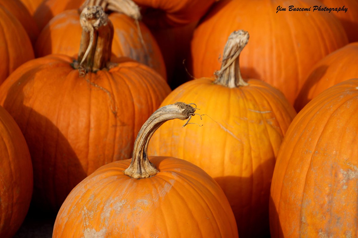 Jbusc33's tweet photo. #pumpkins #farm #halloween #jackolantern #cart #bloomfieldny #fall #ipoft_fall #crop #wagon #roc #shutterbugpix #HappyHalloween2017 https://t.co/LVjh3pBoVy