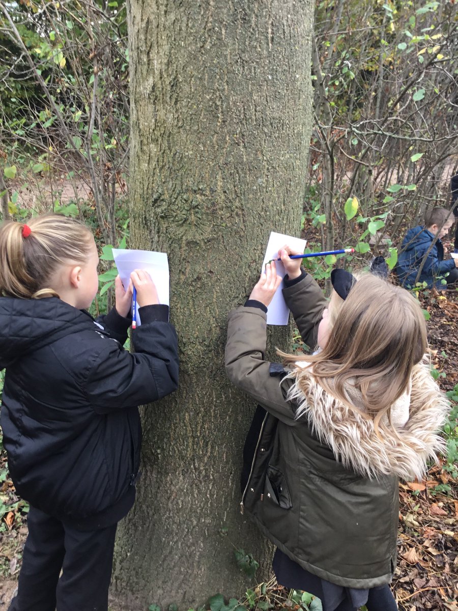Willows_Primary's tweet photo. Discovering characters in our outdoor classroom. Apparently we found some troll snot ๐ฉ #2MO #CreepingToad https://t.co/3lPinILiUo