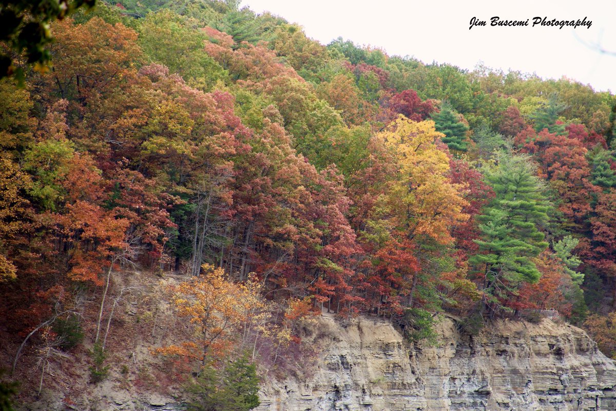 Jbusc33's tweet photo. #letchworthstatepark #fallcolors #fall #ipoft_fall #naturephotography #ipulledoverforthis #just_newyork #upstateny #iloveny #roc #news8photo https://t.co/pqVb1XDasa