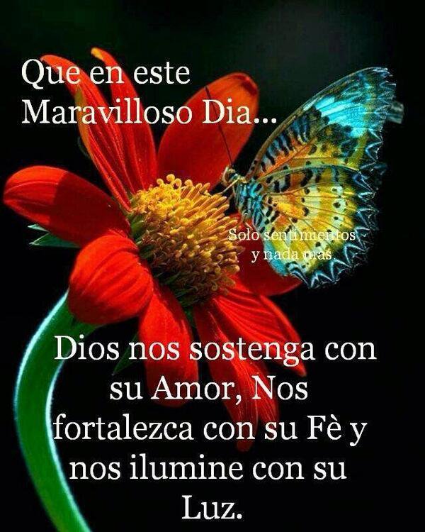 DiosUneSusHijos's tweet photo. Gracias Señor Jesús,🌸🌿🐦 a ti la gloria y la honra y el poder, te alabo con todo mi corazón, toma el control de mi vida hoy y siempre, Amén. https://t.co/idET7JsRnM